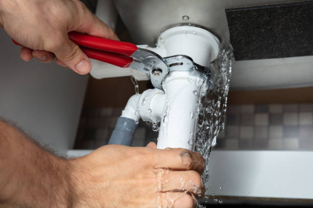 Water damage restoration mold remediation in Burt, MI