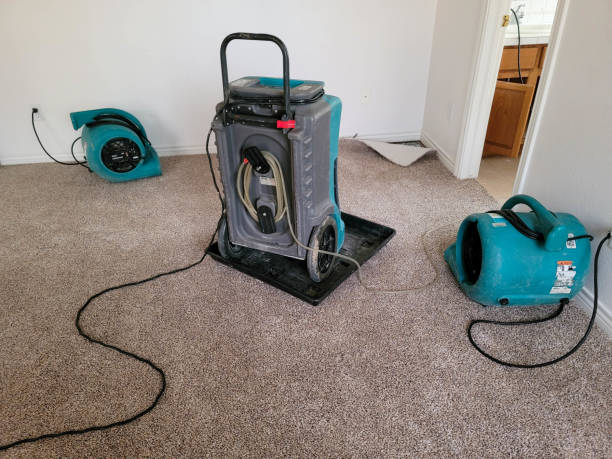 Best Carpet water damage restoration  in Burt, MI