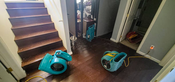 Best Water damage restoration process  in Burt, MI