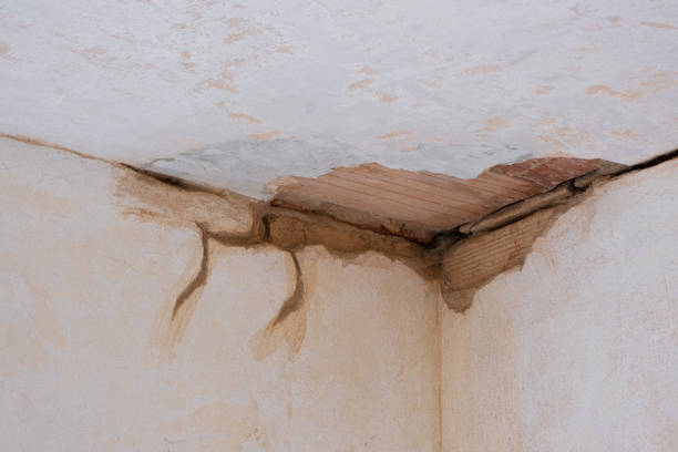 Best Flood restoration services  in Burt, MI