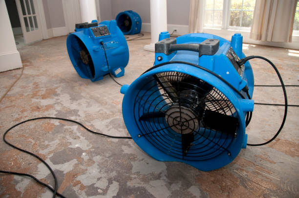 Best Flood damage cleanup  in Burt, MI