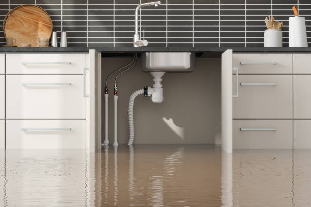 Best Sewage cleanup and water damage restoration  in Burt, MI