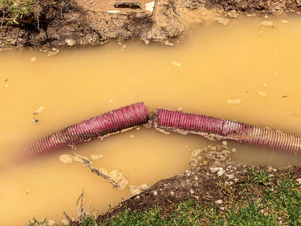 Best Water damage restoration insurance claims  in Burt, MI