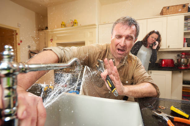 Best Professional water damage repair  in Burt, MI
